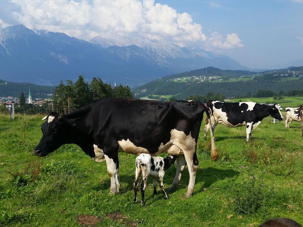 Ferienwohnung Stillerhof Innsbruck Pokoj fotografie